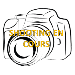 Vélo Pliant 20 pouces