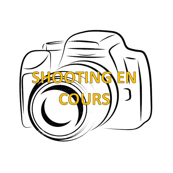Vélo Pliant 20 pouces